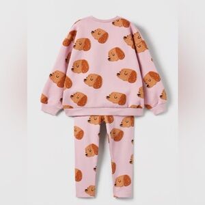Zara Toddler Dog Matching Set